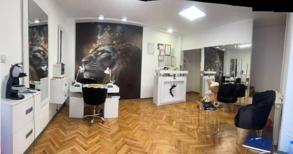 Studio Lion King